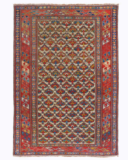 Antique Shirvan Rug