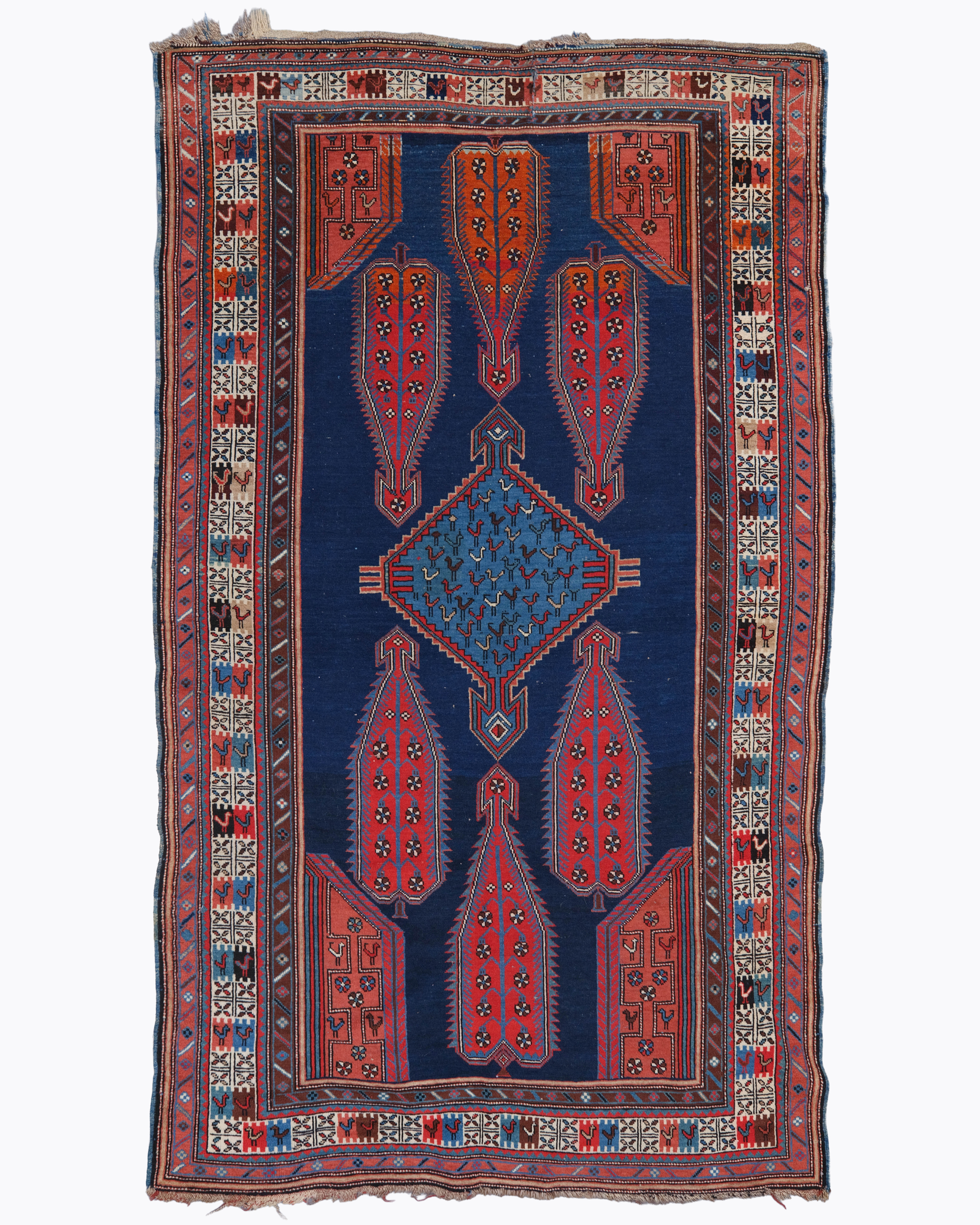 1310 shıklı late 19 137 x 225 2200